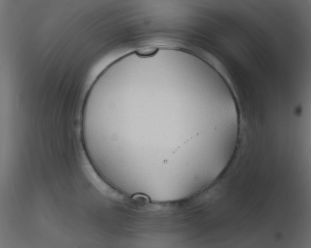 X0000116591195200912312029