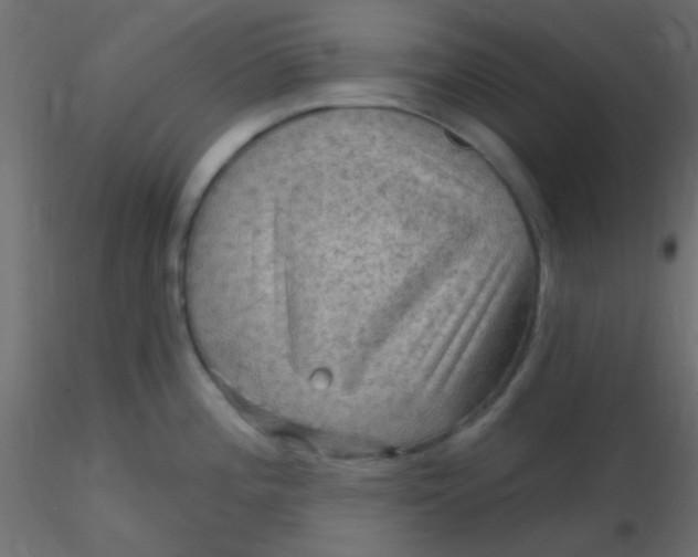 X0000116591196200912312029