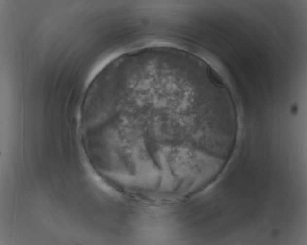 X0000116591198200912312029