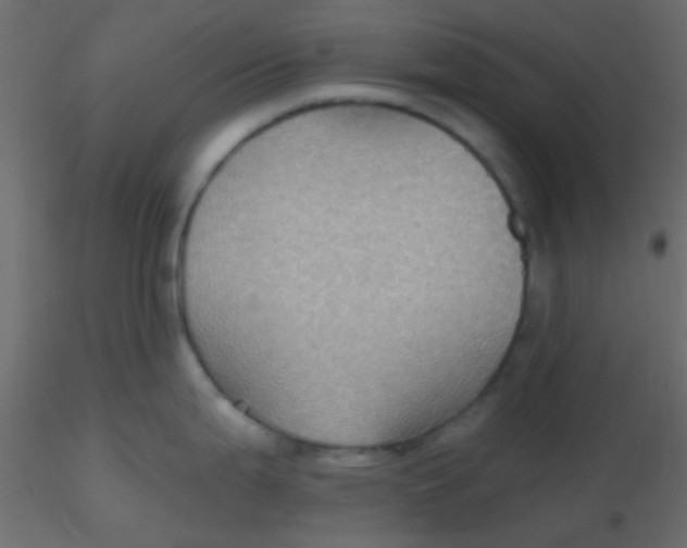 X0000116591199200912312029