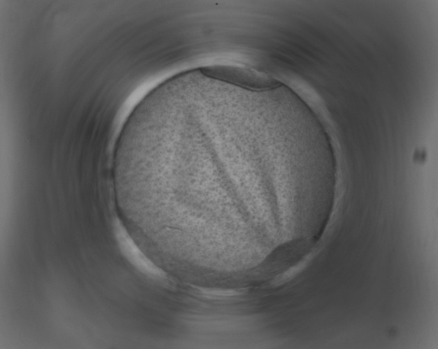 X0000116591200200912312029