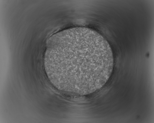 X0000116591201200912312029