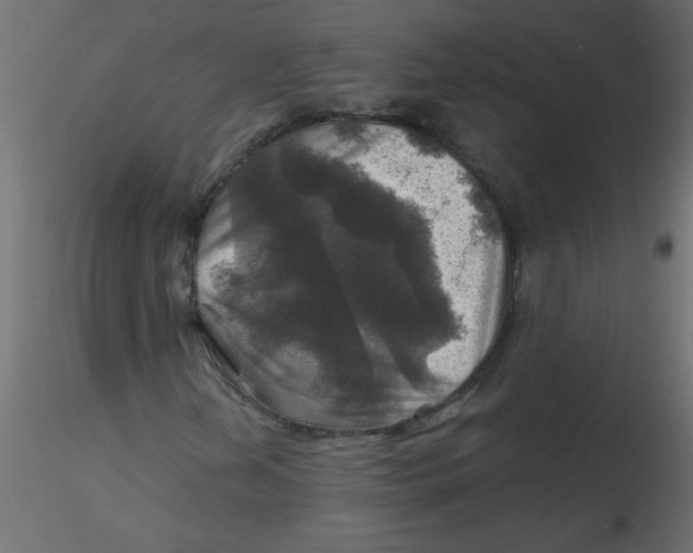 X0000116591202200912312029