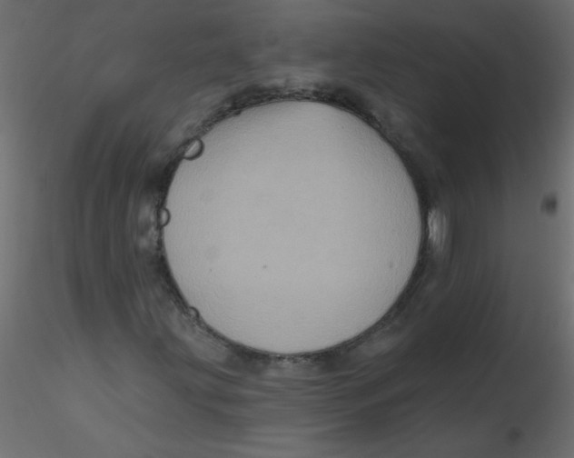 X0000116591203200912312029