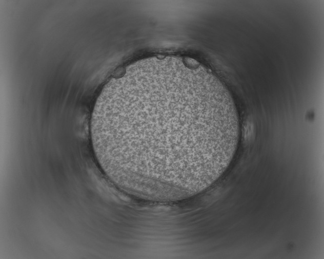 X0000116591204200912312029