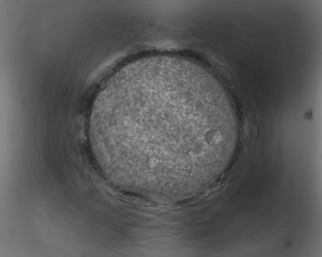 X0000116591205200912312029