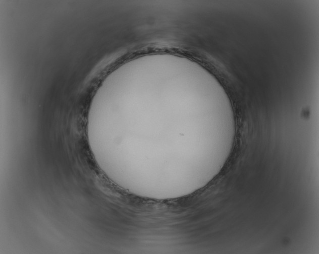 X0000116591207200912312029