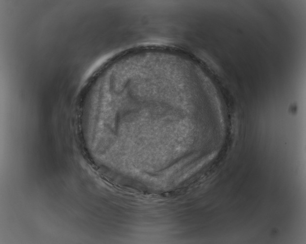 X0000116591208200912312029