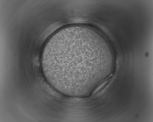 X0000116591209200912312029