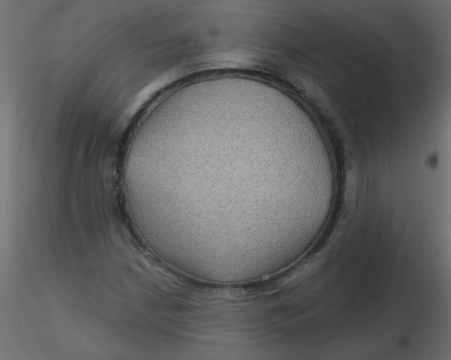 X0000116591210200912312029