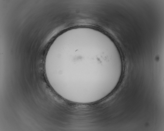 X0000116591211200912312029