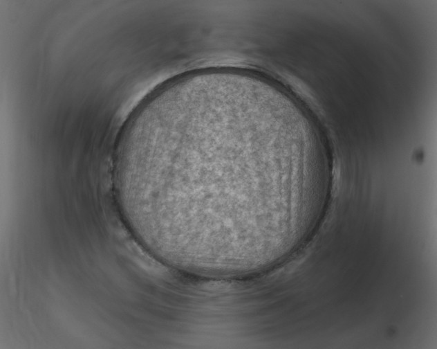 X0000116591212200912312029