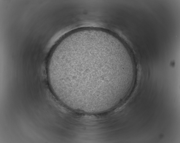 X0000116591215200912312029