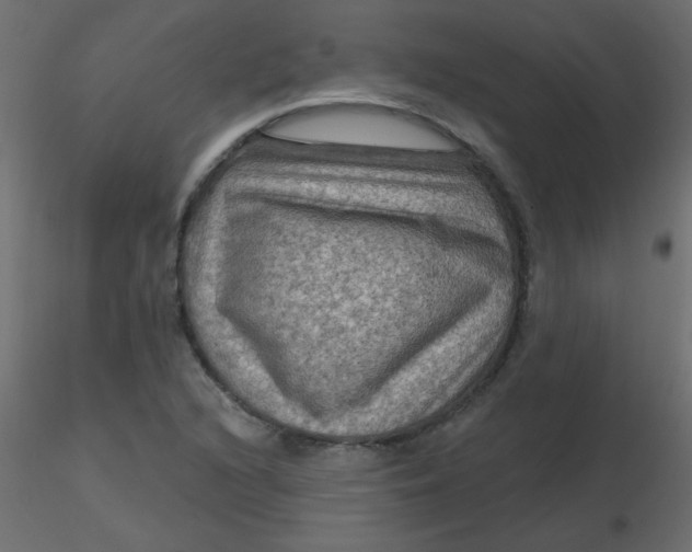 X0000116591216200912312029