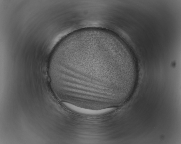 X0000116591218200912312029