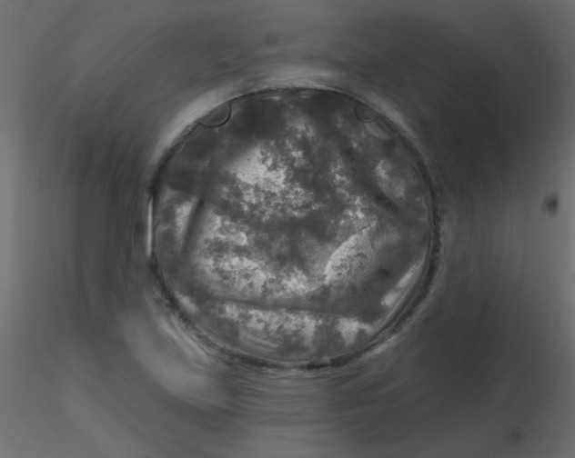 X0000116591219200912312029