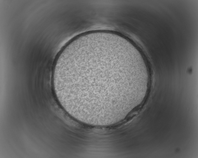 X0000116591220200912312029