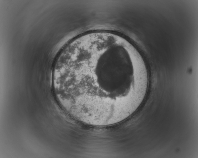 X0000116591221200912312029