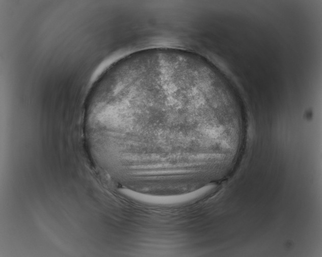 X0000116591222200912312029