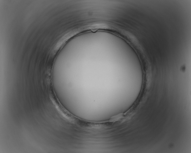 X0000116591225200912312029