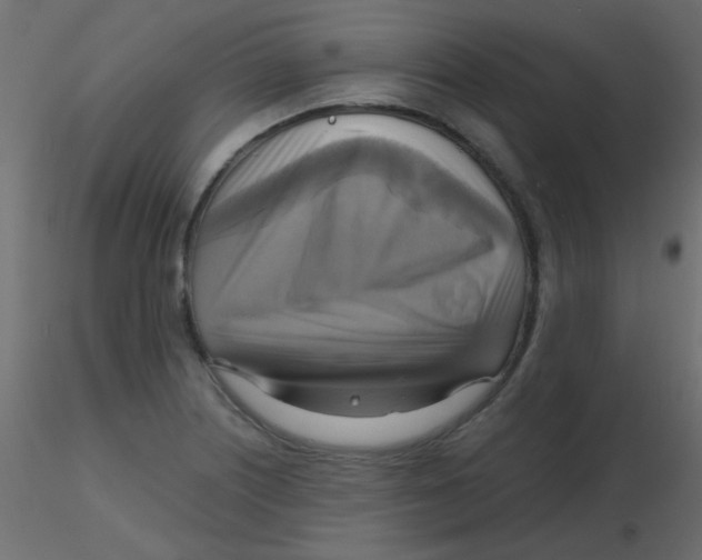 X0000116591226200912312029