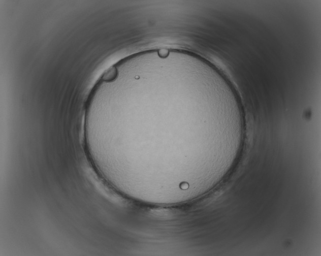 X0000116591227200912312029