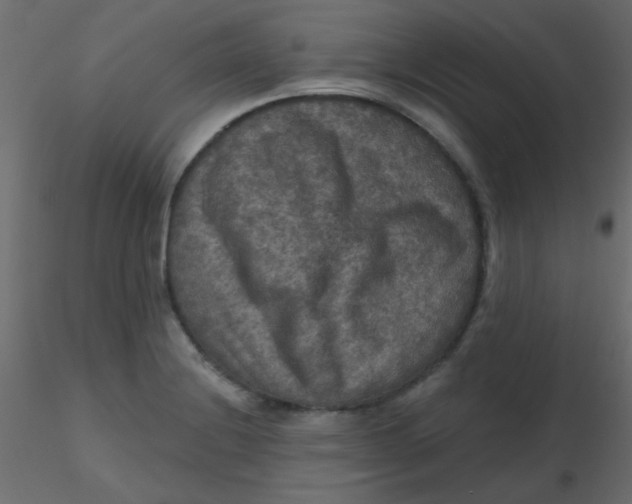 X0000116591228200912312029