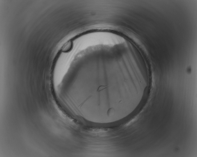 X0000116591229200912312029