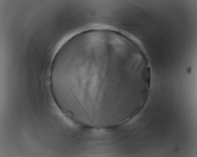 X0000116591231200912312029