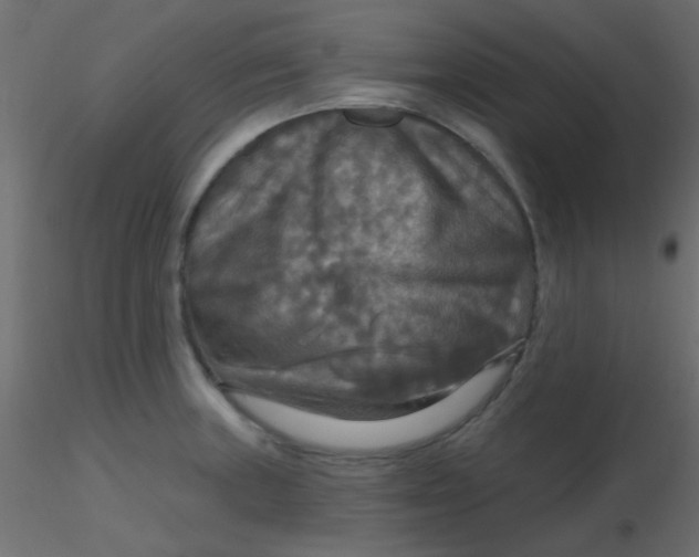 X0000116591235200912312029