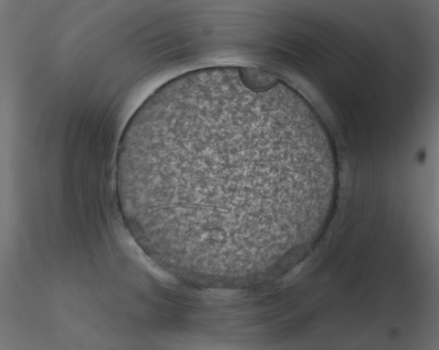 X0000116591236200912312029