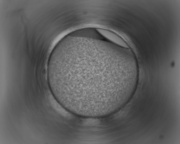 X0000116591238200912312029