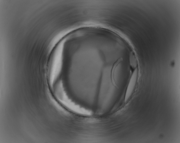 X0000116591239200912312029