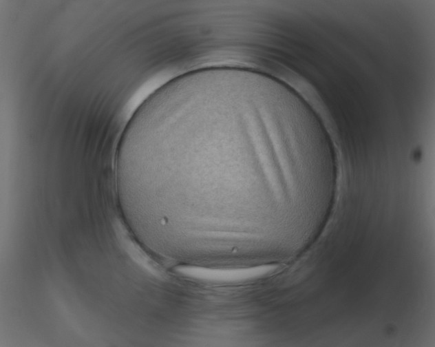 X0000116591242200912312029