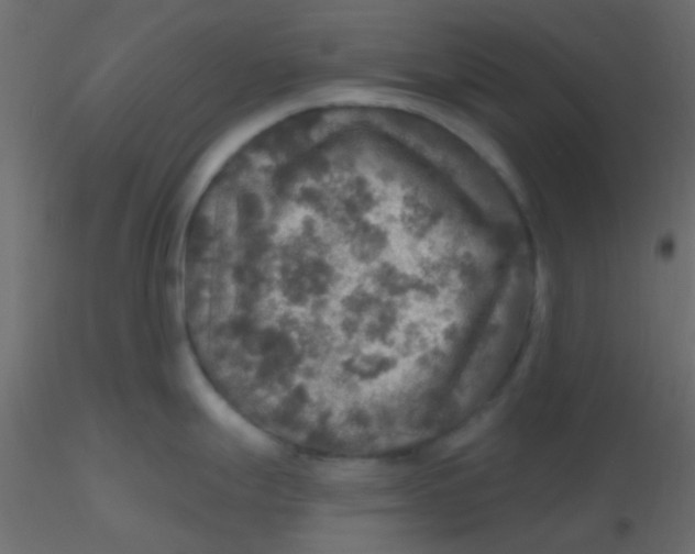 X0000116591247200912312029