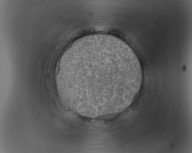 X0000116591249200912312029