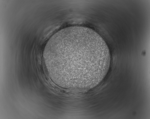 X0000116591250200912312029