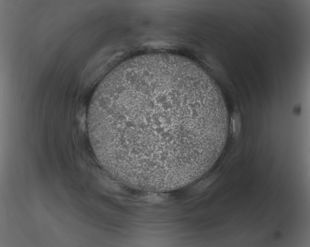 X0000116591251200912312029