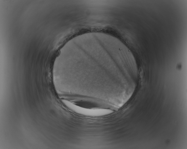 X0000116591252200912312029