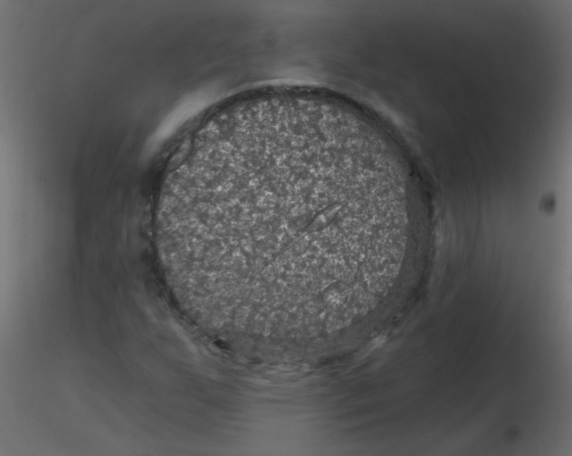 X0000116591255200912312029