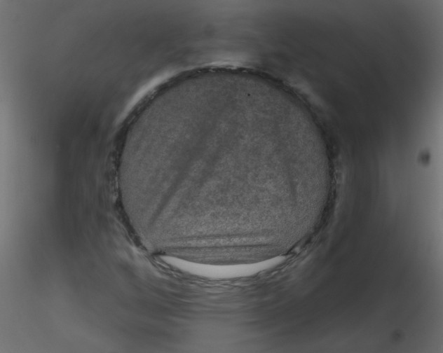 X0000116591256200912312029