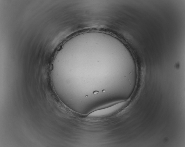 X0000116591257200912312029