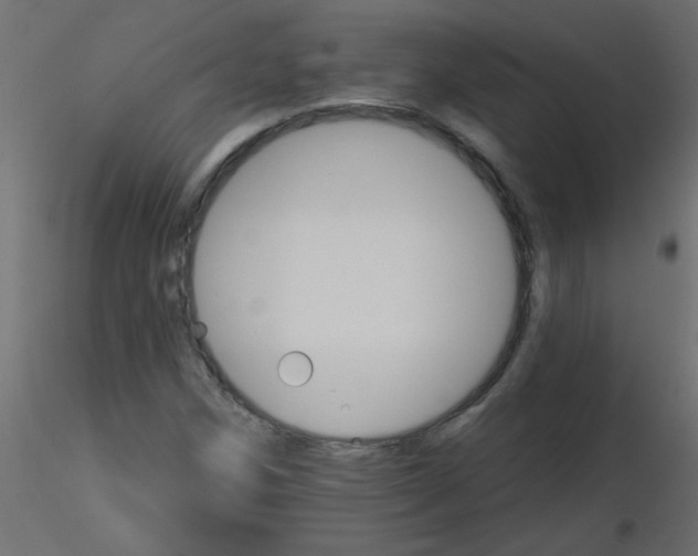 X0000116591258200912312029