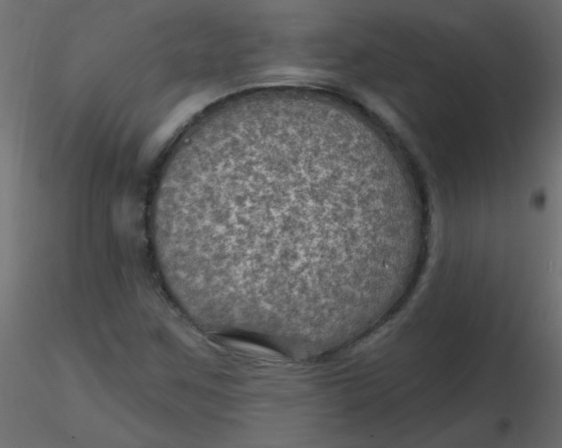 X0000116591259200912312029