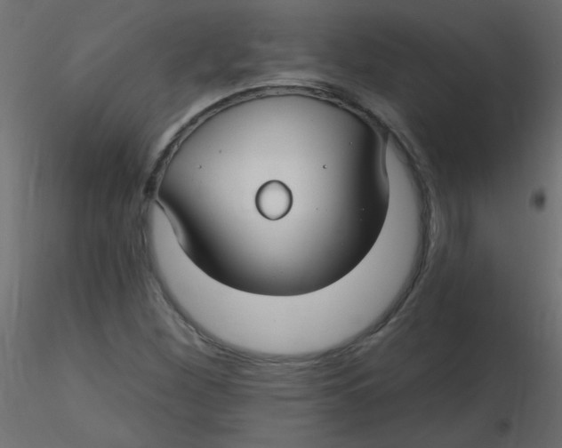 X0000116591260200912312029