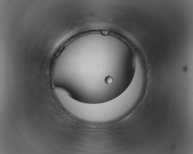 X0000116591261200912312029