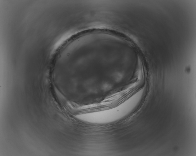 X0000116591263200912312028