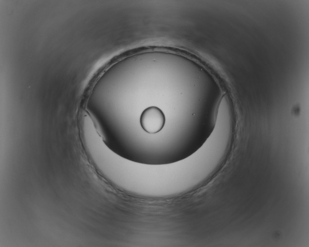 X0000116591264200912312028