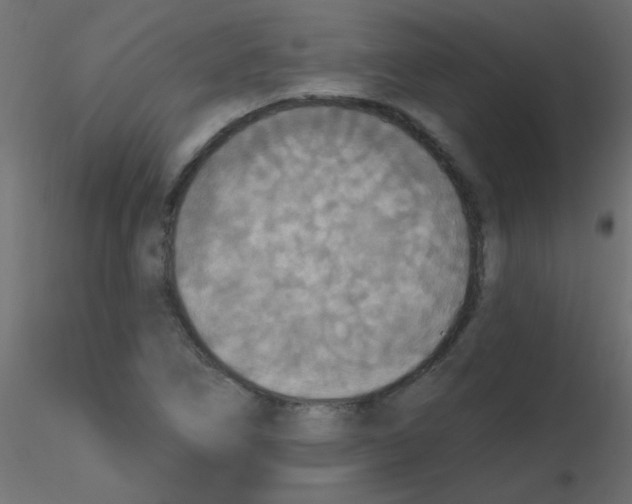 X0000116591266200912312028