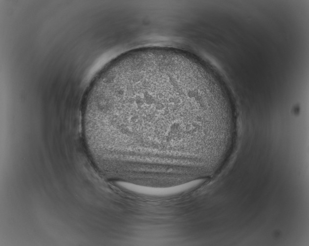 X0000116591267200912312028